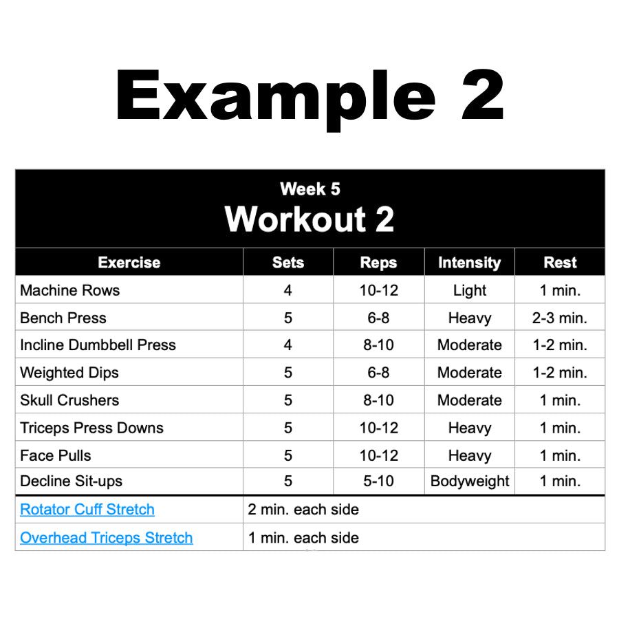 Custom Strength Program Maximize Your Strength Gains – STRENGTH